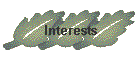 Interests